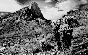Black Mountains of Arizona RPPC
