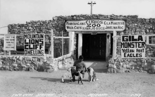 Two Guns Arizona on Route 66 RPPC